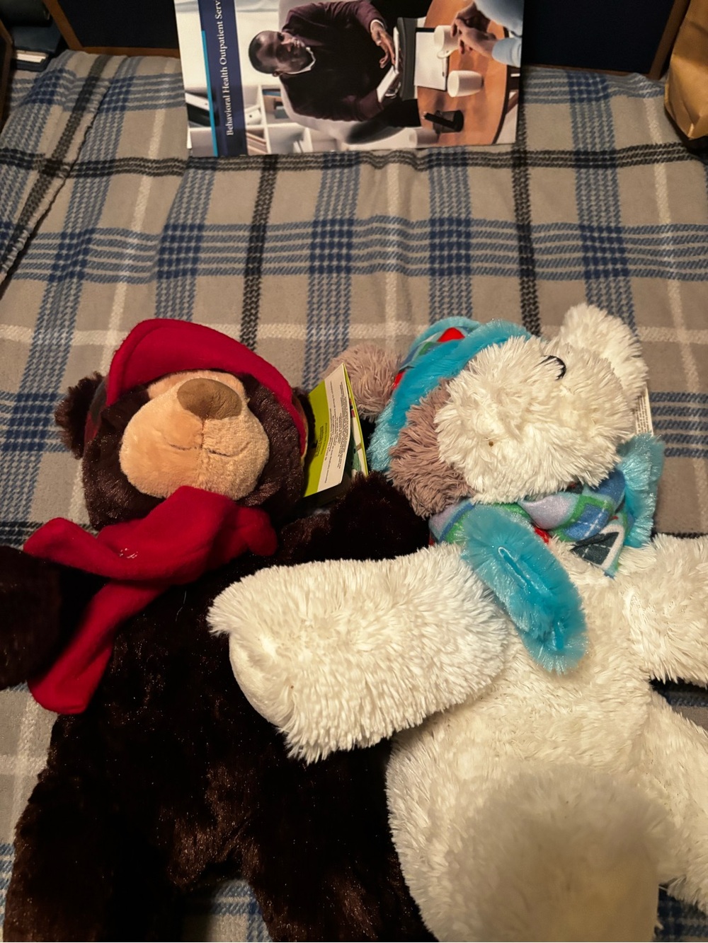 Plush Holiday Bear Duo - Red & White Soft Cuddly Toys